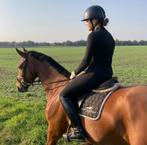 RUITER AANGEBODEN ROTTERDAM, Dieren en Toebehoren, Stalling en Weidegang, Toebehoren, 2 of 3 paarden of pony's