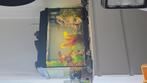 Aquarium 60 liter, Vis