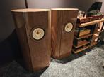 Lii Song/ Lii Audio origin-10 met nieuw Silver 10 Evo unit, Zo goed als nieuw, 120 watt of meer, Front, Rear of Stereo speakers