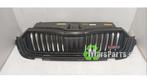 Grille van een Skoda Octavia, Ophalen of Verzenden, 3 maanden garantie, Gebruikt, Skoda