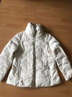 Zara winterjas dames, Ophalen of Verzenden, Zo goed als nieuw, Maat 46/48 (XL) of groter, Jack