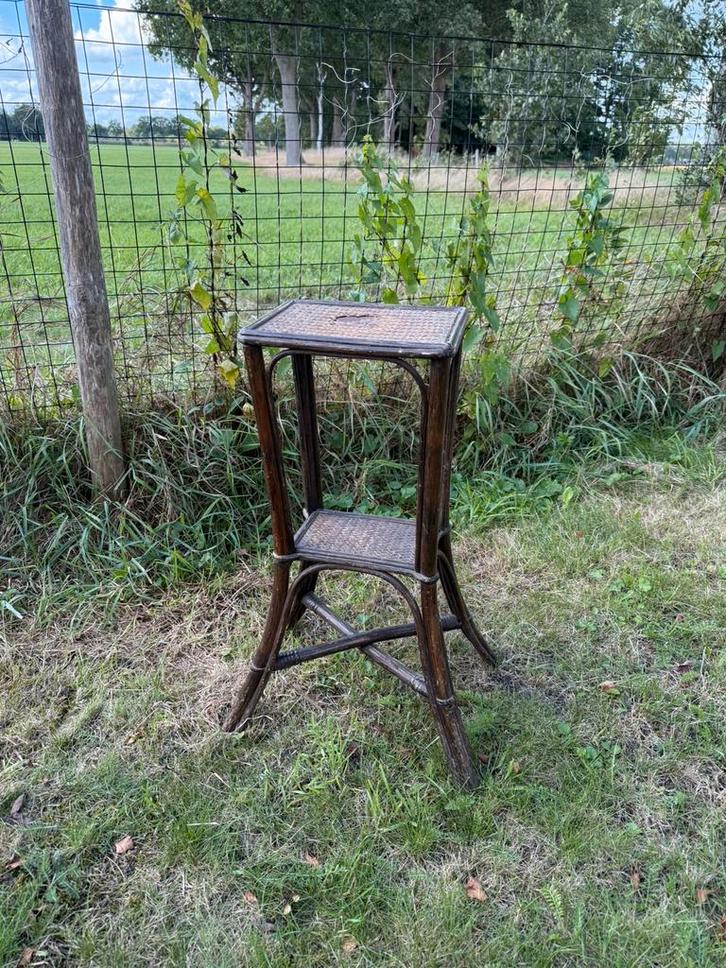 Vintage Rotan plantentafel - 62cm, Huis en Inrichting, Kamerplanten, Overige soorten, Minder dan 100 cm, Halfschaduw, Ophalen