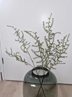 Asparagus Takken (exclusief vaas), Huis en Inrichting, Ophalen of Verzenden, Zo goed als nieuw