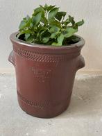 Aardewerk-gres Pot met hortensia., Tuin en Terras, Rond, Zo goed als nieuw, 40 cm of meer, Ophalen
