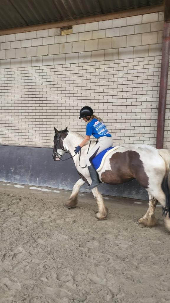 Bijrijder/verzorger aangeboden! Omgeving Veenendaal, Dieren en Toebehoren, Paarden en Pony's | Verzorgingsproducten, Zo goed als nieuw