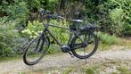 Elektrische fiets advanced ebike das original, Fietsen en Brommers, 55 tot 59 cm, Ophalen, Zo goed als nieuw, 50 km per accu of meer