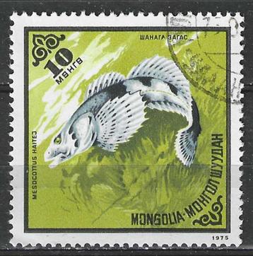 Mongolie 1975 - Yvert 800 - Vissen - Mesocottus haitej (ST) beschikbaar voor biedingen