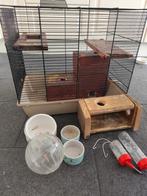 Rodent cage with accessories, Dieren en Toebehoren, Ophalen, Gebruikt