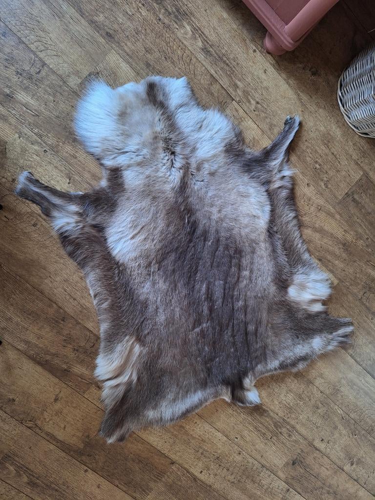 Rendierhuid kleed, Ophalen, Zo goed als nieuw