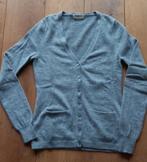 Mooi lichtgrijs cashmere vest met zakjes van Repeat mt. 36, Kleding | Dames, Truien en Vesten, Repeat, Ophalen of Verzenden, Zo goed als nieuw