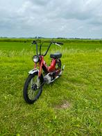 Puch Maxi 74cc gilardoni, Ophalen, Zo goed als nieuw, 1 versnellingen, Maxi