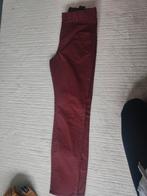 Chino 42 nieuw, Kleding | Heren, Ophalen of Verzenden, Nieuw, Blauw