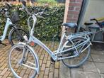 Batavus Mambo Damesfiets - Frame 57 en 8 versnellingen, Ophalen, Gebruikt, Batavus, Versnellingen