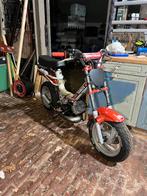 WAARDEPEILING Tomos youngster 65 cc, Ophalen of Verzenden, Zo goed als nieuw