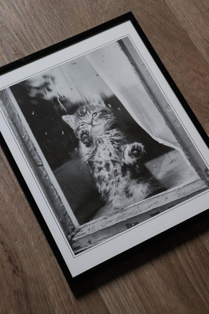 Grote zwarte fotolijst 25 cm x 30 cm, Audio, Tv en Foto, Fotografie | Fotolijsten, Zo goed als nieuw, Ophalen of Verzenden