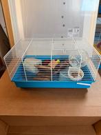 Hamster kooi met toebehoren, Minder dan 60 cm, Kooi, Minder dan 75 cm, Ophalen of Verzenden