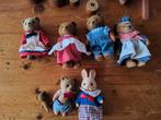 Beren en konijn Sylvanian families, Ophalen of Verzenden, Zo goed als nieuw, Poppenhuis