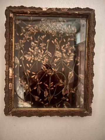 Vitrinekast kastje lijst wassen bruidskroon bruidsbloemen beschikbaar voor biedingen