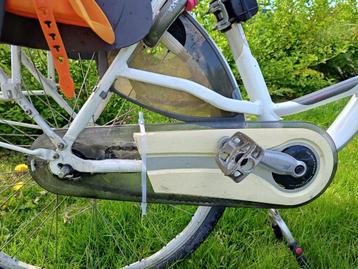 Montego Mamafiets met kinderstoel beschikbaar voor biedingen