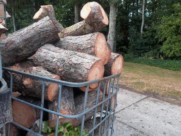 Haardhout restpartij brandhout  beschikbaar voor biedingen