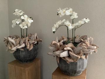 Super mooie kunst nep orchidee orchideeën plant phalaenopsis beschikbaar voor biedingen