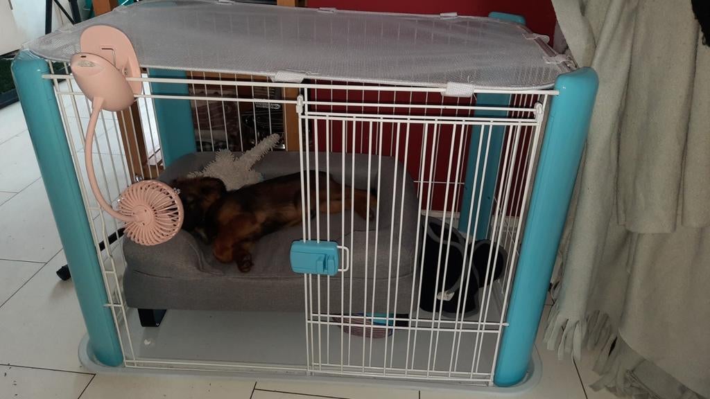 Honden hek, Dieren en Toebehoren, Honden-accessoires, Ophalen of Verzenden