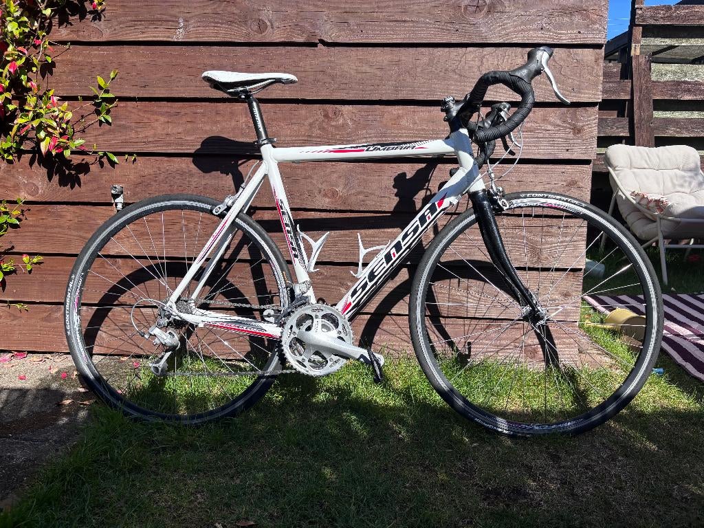 Sensa Umbria Racefiets - 54 cm, Ophalen, Gebruikt, Overige typen