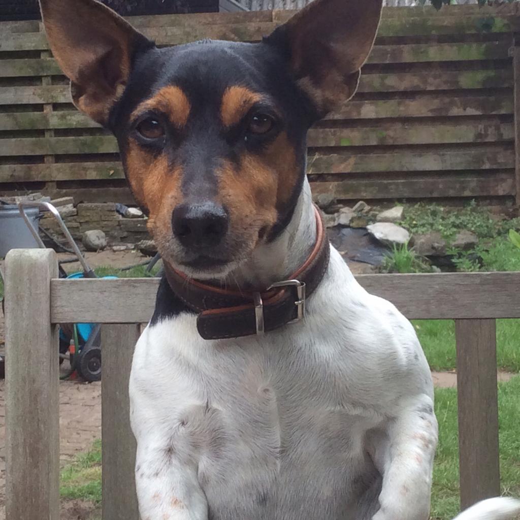 Schoonmaker gezocht, Vacatures, Starter, Overige vormen, Overige niveaus, Geschikt als bijbaan