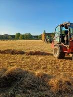 Mooie kleine balen Tarwe Stro, Dieren en Toebehoren