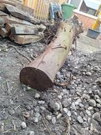 Boomstronk gratis, Tuin en Terras, Haardhout, Ophalen