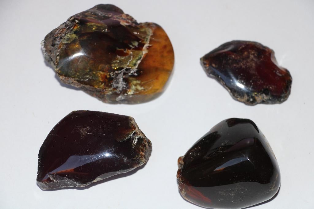 Amber (4pcs), Ophalen of Verzenden, Fossiel