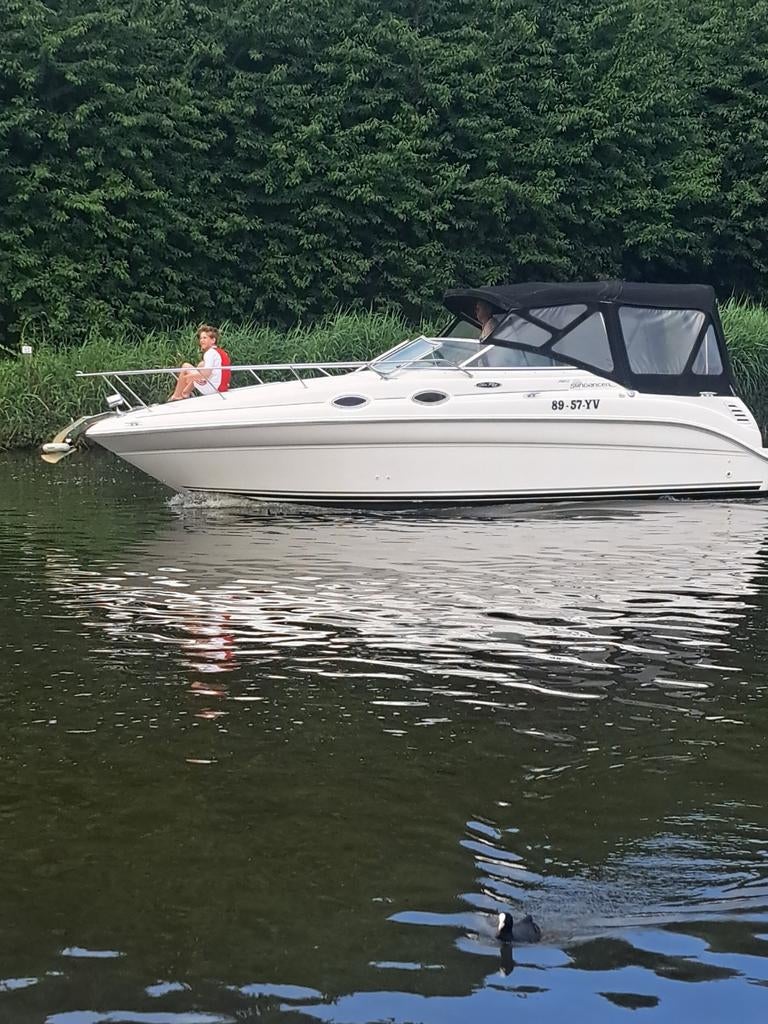 Sea Ray Sundancer 260, Watersport en Boten, Motorboten en Motorjachten, Polyester, Benzine, 50 pk of meer, Ophalen