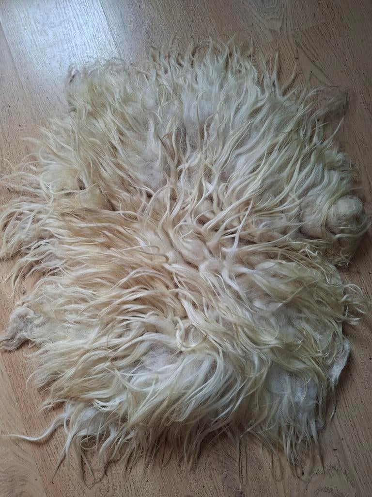 Eco handgevilt schapenvacht Drents Heideschaap Merinowol, Crème, 50 tot 100 cm, Natuurlijk, Rustiek, Ambachtelijk, Nieuw