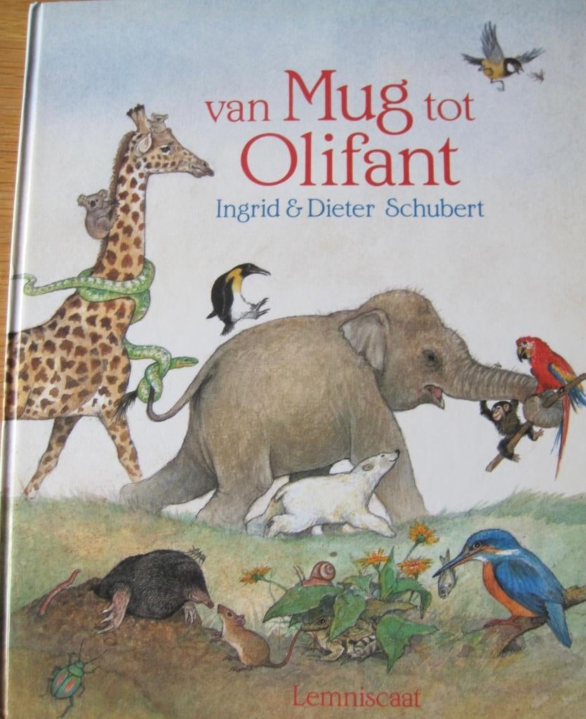 Ingrid & Dieter Schubert - Van mug tot olifant, Boeken, Ophalen of Verzenden, Zo goed als nieuw, Ingrid & Dieter Schubert, Prentenboek