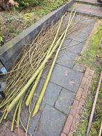 Vers wilgen snoeisel en takken, Ophalen