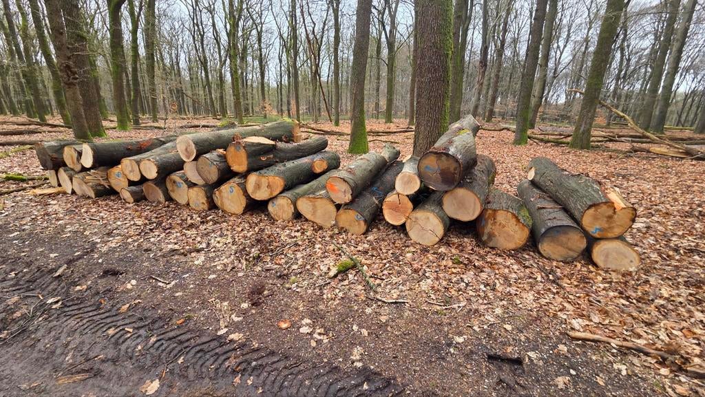 brandhout/stamhout, Tuin en Terras, Haardhout, 6 m³ of meer, Ophalen of Verzenden, Eikenhout, Stammen