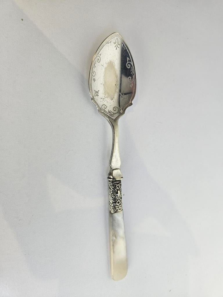 Verzilverde lepel met parelmoer handvat, Ophalen of Verzenden