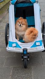 Hondenwagen, Fietsen en Brommers, Fietsaccessoires | Aanhangers en Karren, Ophalen of Verzenden, Hondenkar, 20 tot 40 kg