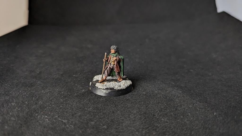 Frodo (Fellowship), Hobby en Vrije tijd, Wargaming, Ophalen of Verzenden, Lord of the Rings