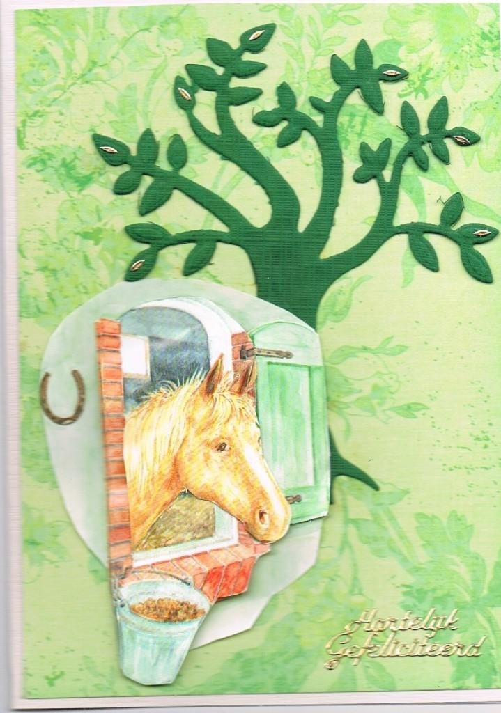 paardenkaart, Ophalen of Verzenden, Nieuw, Dieren