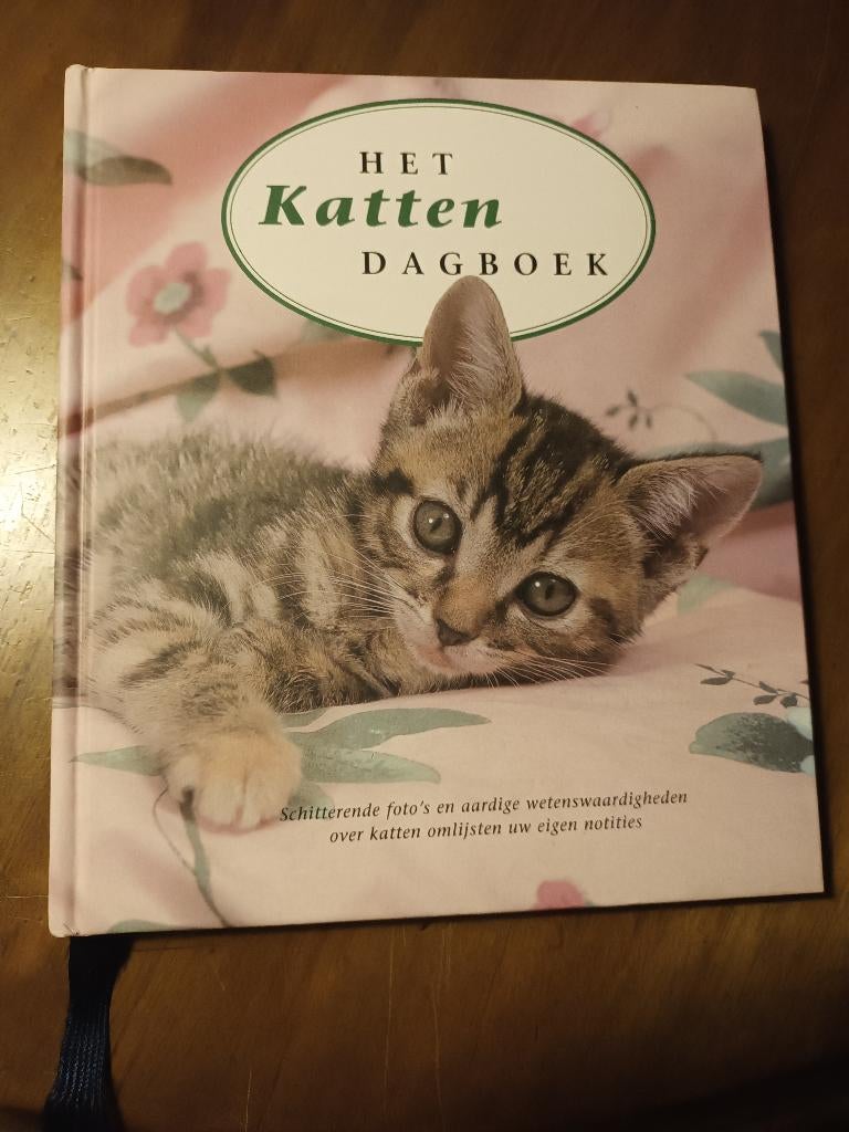 Nieuwe: De tijdloze doorlopende katten kalender, Ophalen of Verzenden, Dagkalender, Nieuw