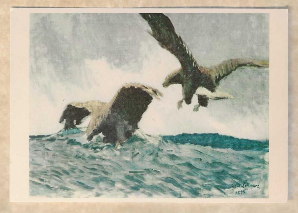 Ansichtkaart. Original Bruno Liljefors. Sea-eagles., Ophalen of Verzenden, 1920 tot 1940, Ongelopen, Ambachten of Beroep