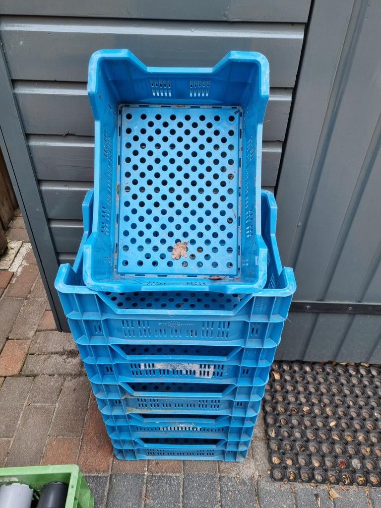 Blauwe fruit kratjes, Ophalen, Minder dan 35 cm, Minder dan 50 cm, Minder dan 40 cm