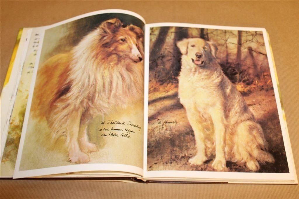 Braaf — Honden Illustraties & Verhalen Poortvliet 1e dr 1983, Ophalen of Verzenden, Gelezen