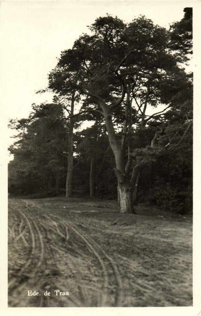 Ede. de Traa - 1956 gelopen, Ophalen of Verzenden, Voor 1920, Gelopen, Gelderland