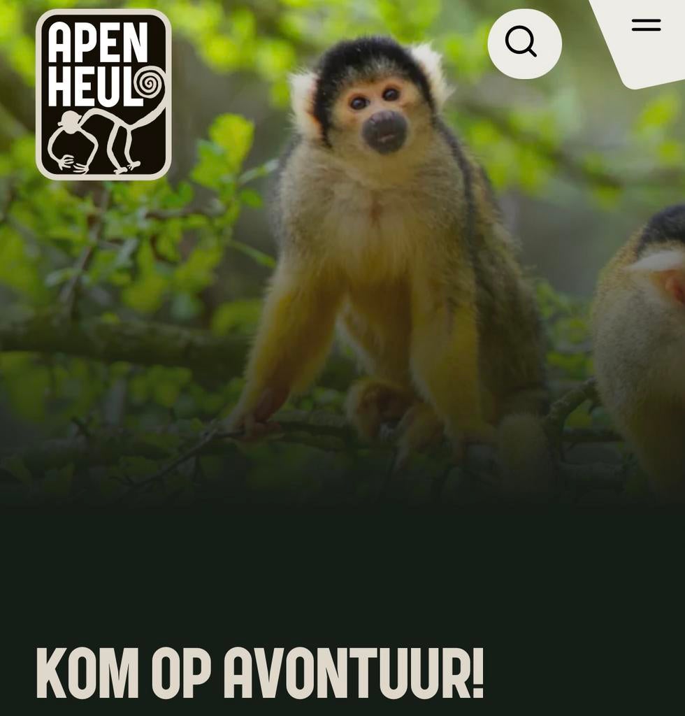 Toegangsbewijs Apenheul 2 x geldig 9 mei, Tickets en Kaartjes, Twee personen, Ticket of Toegangskaart