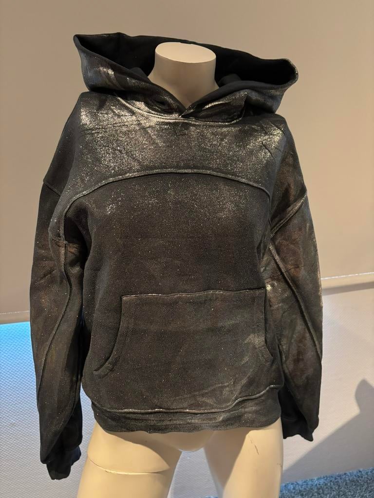 Zara grijs glimmende hoodie maat s, Kleding | Dames, Ophalen of Verzenden, Zo goed als nieuw, Maat 36 (S), Grijs