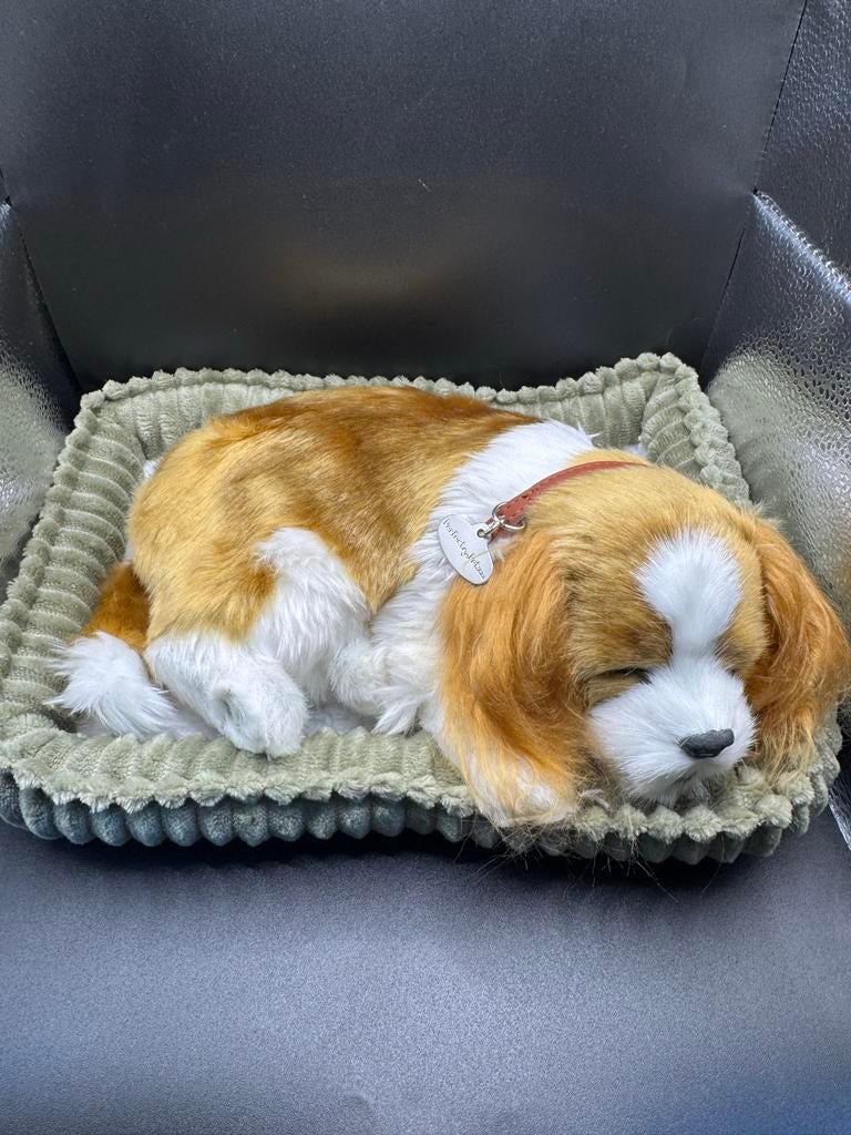 Perfect Petzzz Cavalier King Charles Ademende Hond, Ophalen of Verzenden, Nieuw, Hond