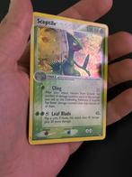 Pokemon kaart - Sceptile POP 1 holo, Ophalen of Verzenden, Gebruikt, Losse kaart, Foil