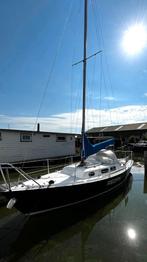 Zeilboot Achilles 24 te koop, Watersport en Boten, Kajuitzeilboten en Zeiljachten, Ophalen, Gebruikt, Tourjacht of Cruiser, 6 tot 9 meter